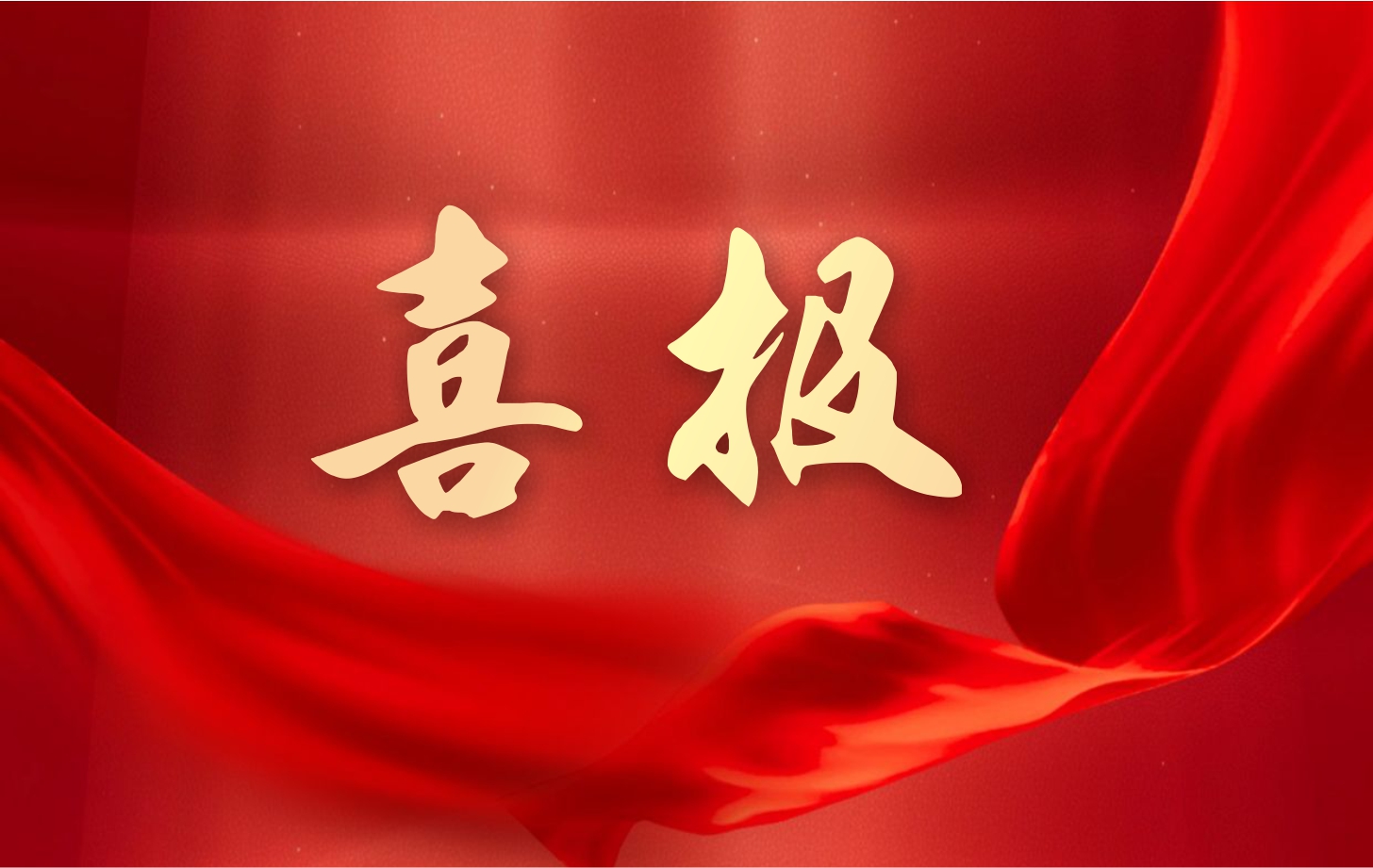 营收净利双增长！依顿电子2025年一季度经营业绩续写高质量发展华章